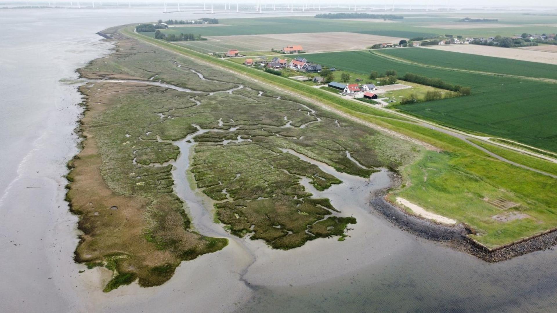 Philipstere Leilighet Sint Philipsland Eksteriør bilde